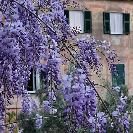 Privatunterkunft Sopra Il Parco A 2 Passi Dal Mare *